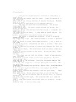 a rock concert essay