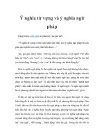 Ý nghĩa từ vựng và ý nghĩa ngữ pháp docx