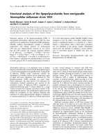 Báo cáo Y học: Structural analysis of the lipopolysaccharide from nontypeable Haemophilus inﬂuenzae strain 1003 potx