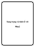 Sang trọng và tinh tế với 98m2 docx