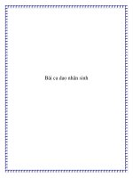 Bài ca dao nhân sinh pdf