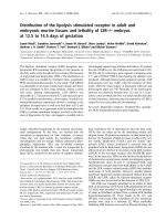 Báo cáo khoa học: Distribution of the lipolysis stimulated receptor in adult and embryonic murine tissues and lethality of LSR–/– pdf