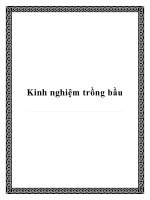 Kinh nghiệm trồng bầu potx