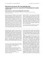 Báo cáo khóa học: Mycoplasma pneumoniae HPr kinase/phosphorylase Assigning functional roles to the P-loop and the HPr kinase/phosphorylase signature sequence motif doc