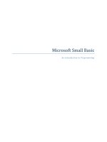 Microsoft Small Basic: An introduction to Programming pot