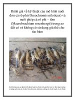 Đánh giá về kỹ thuật của mô hình nuôi đơn cá rô phi (Oreochromis niloticus) và nuôi ghép cá rô phi – tôm (Macrobrachium rosenbergii) trong ao đất có và không có sử dụng giá thể cho tảo bám pot