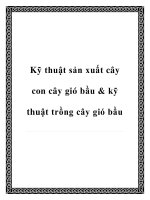 Kỹ thuật sản xuất cây con cây gió bầu & kỹ thuật trồng cây gió bầu pdf