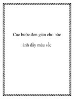 Các bước đơn giản cho bức ảnh đầy màu sắc ppt