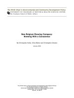 New Belgium Brewing Company: Brewing With a Conscience doc