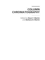 COLUMN CHROMATOGRAPHY docx