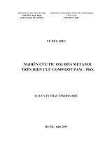 NGHIÊN CỨU PIC OXI HÓA METANOL TRÊN ĐIỆN CỰC COMPOZIT PANi – PbO2        LUẬN VĂN THẠC SĨ KHOA HỌC