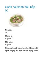 Canh cải xanh nấu bắp bò docx