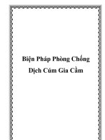 Biện Pháp Phòng Chống Dịch Cúm Gia Cầm potx