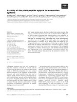 Báo cáo khoa học: Activity of the plant peptide aglycin in mammalian systems potx