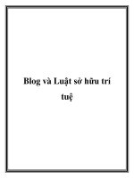 Blog và Luật sở hữu trí tuệ doc
