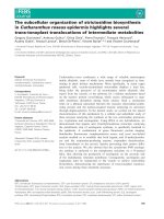Báo cáo khoa học: The subcellular organization of strictosidine biosynthesis in Catharanthus roseus epidermis highlights several trans-tonoplast translocations of intermediate metabolites docx