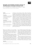 Báo cáo khoa học: Energetic and metabolic transient response of Saccharomyces cerevisiae to benzoic acid docx