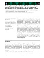 Báo cáo khoa học: Probing the catalytic potential of the hamster arylamine N-acetyltransferase 2 catalytic triad by site-directed mutagenesis of the proximal conserved residue, Tyr190 pot
