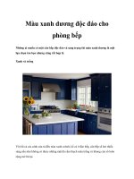 Màu xanh dương độc đáo cho phòng bếp pdf