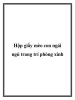 Hộp giấy mèo con ngái ngủ trang trí phòng xinh pptx