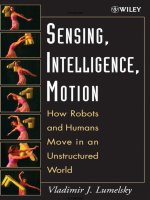 SENSING, INTELLIGENCE, MOTION pot