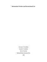 Information Warfare and International Law pot