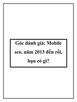 Góc đánh giá: Mobile seo, năm 2013 đến rồi, bạn có gì? pot