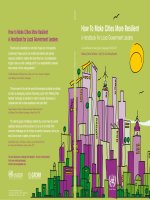 How To Make Cities More Resilient A Handbook For Local Government Leaders doc