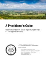 A Practitioner’s Guide: To Economic Development Tools for Regional Competitiveness in a Knowledge-Based Economy pdf