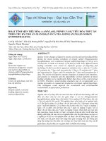 HOẠT TÍNH MEN TIÊU HÓA Α-AMYLASE, PEPSIN VÀ SỰ TIÊU HÓA THỨC ĂN THEO CHU KỲ CHO ĂN GIÁN ĐOẠN Ở CÁ TRA GIỐNG (PANGASIANODON HYPOPHTHALMUS) ppt