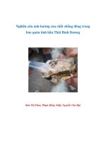 Nghiên cứu ảnh hưởng của chất chống đông trong bảo quản tinh hầu Thái Bình Dương pdf