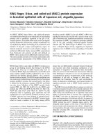Báo cáo Y học: RING ﬁnger, B-box, and coiled-coil (RBCC) protein expression in branchial epithelial cells of Japanese eel, Anguilla japonica pot