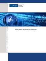 IMPROVING THE AUDITOR’S REPORT pdf