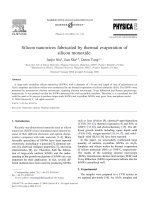 Silicon nanowires fabricated by thermal evaporation of silicon monoxide