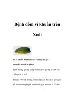Bệnh đốm vi khuẩn trên Xoài pdf