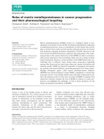 Báo cáo khoa học: Roles of matrix metalloproteinases in cancer progression and their pharmacological targeting pdf