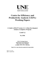 Centre for efficiency and productivity analysis working papers pdf