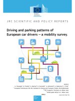 Driving and parking patterns of European car drivers --- a mobility survey pptx