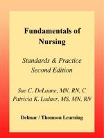 FUNDAMENTALS OF NURSING STANDARDS & PRACTICE SECOND EDITION potx