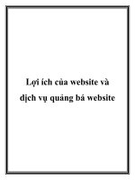 Lợi ích của website và dịch vụ quảng bá website ppt