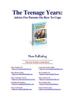 The Teenage Years: Advice For Parents On How To Cope doc