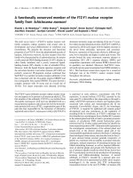 Báo cáo Y học: A functionally conserved member of the FTZ-F1 nuclear receptor family from Schistosoma mansoni doc