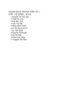 Tiểu luận:Nghiên cứu văn hóa doanh nghiệp trong tập đoàn Mai Linh pptx