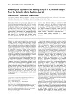 Báo cáo Y học: Heterologous expression and folding analysis of a b-tubulin isotype from the Antarctic ciliate Euplotes focardii ppt