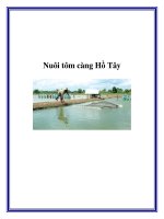 Nuôi tôm càng Hồ Tây pot