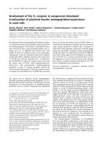 Báo cáo khoa học: Involvement of the V2 receptor in vasopressin-stimulated translocation of placental leucine aminopeptidase/oxytocinase in renal cells pdf