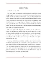 một số giải pháp nhằm nâng cao hoạt động tiêu thụ sản phẩm tại công ty cổ phần thương mại nguyễn kim