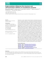 Báo cáo khoa học: N-glycosylation inﬂuences the structure and self-association abilities of recombinant nucleolin pot