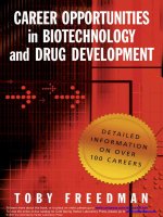 Project Management The Product Development “Orchestra Conductors” docx