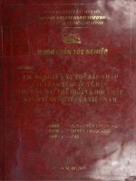 Tác động của xu thế sáp nhập các công ty quốc tế đến thương mại thế giới và hội nhập kinh tế quốc tế của việt nam